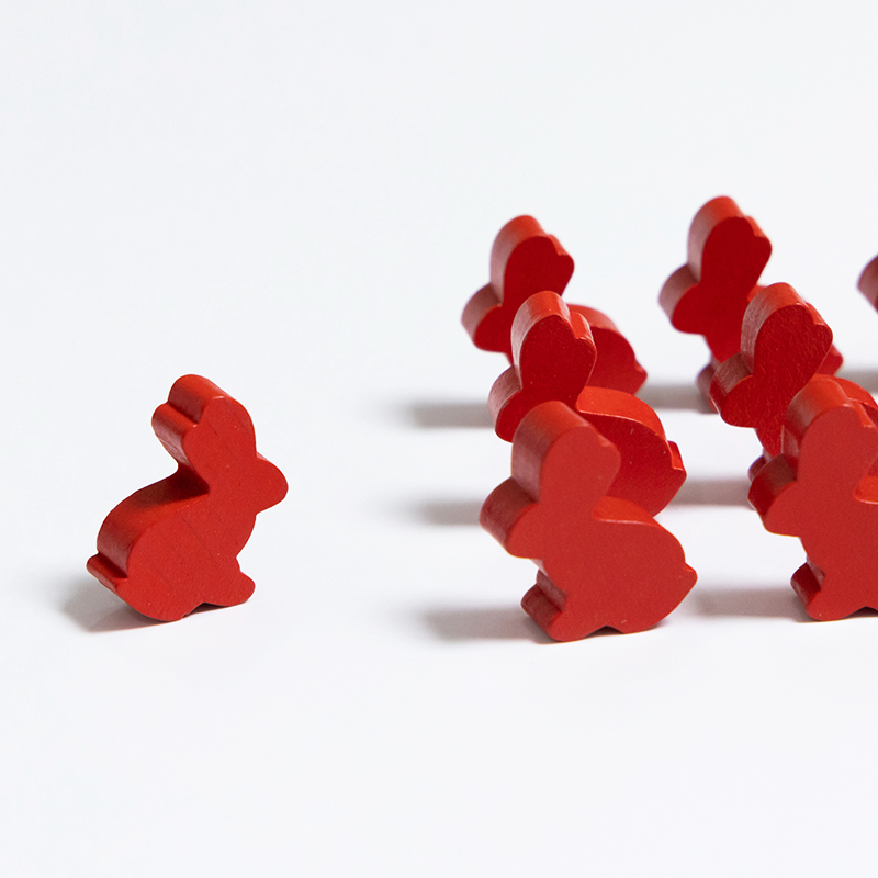 100PCS Cute Rabbit Meeple, 25m - Board Game Quiz บทวิจารณ์และราคา